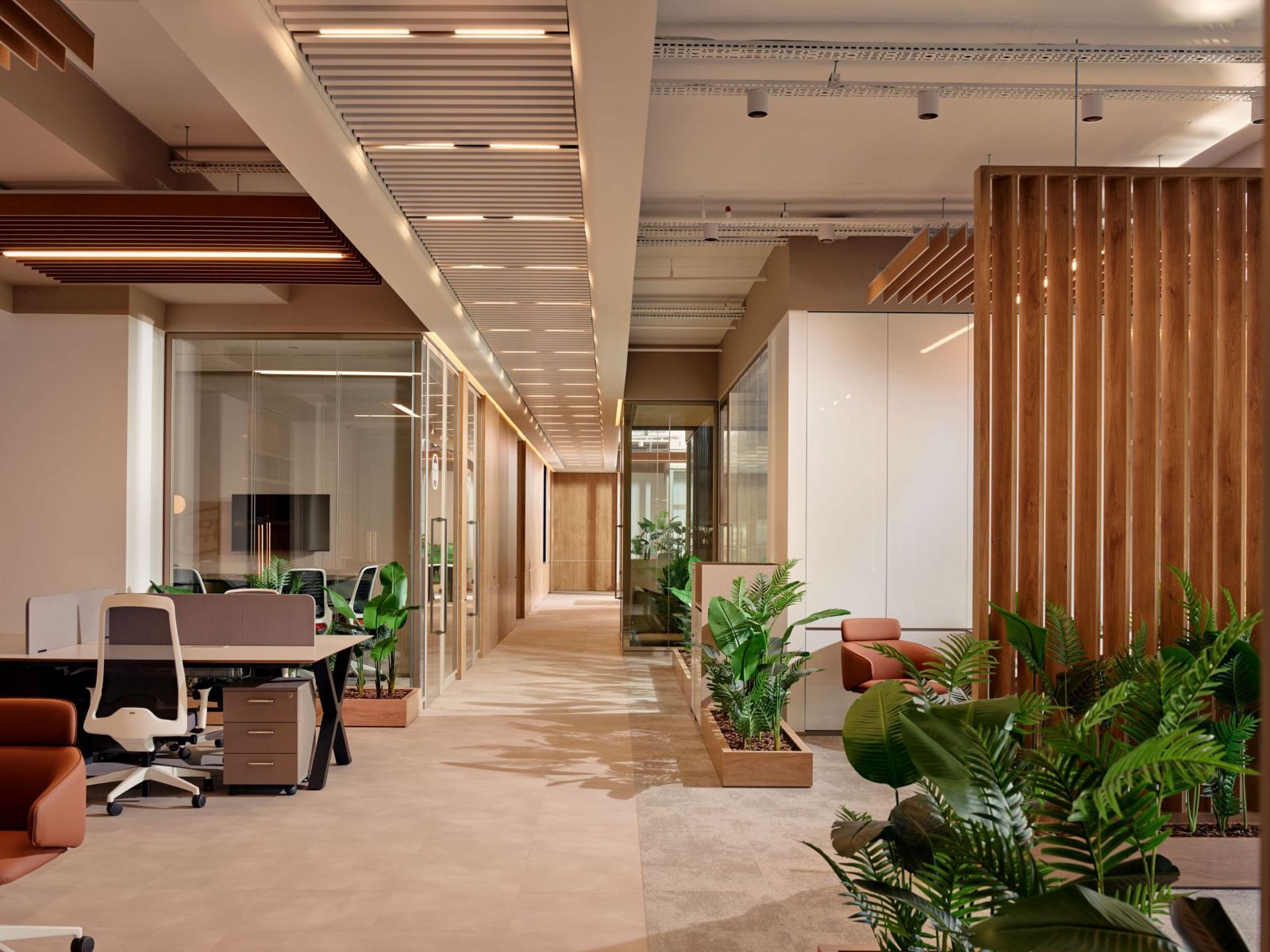 Feyzi Gida lighting showcase